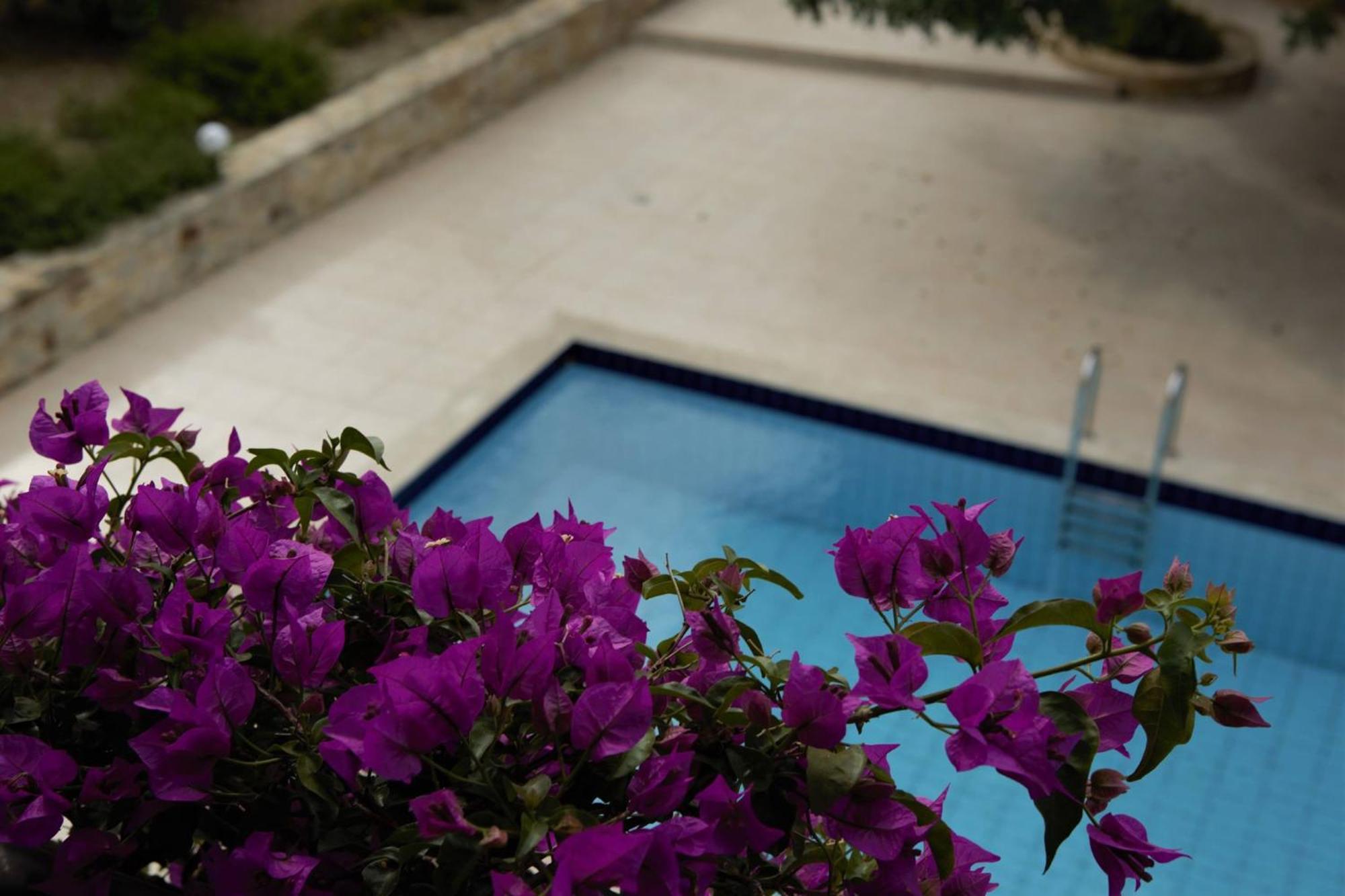 Douliana Villas Екстериор снимка